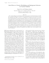 Joint Effects of Genetic Hitchhiking and Background Selection on Neutral Variation