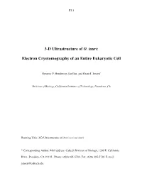 3-D Ultrastructure of O. Tauri: Electron