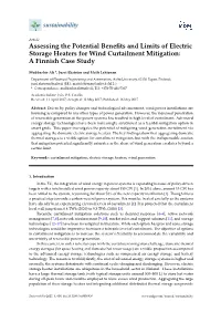 Assessing the Potential Benefits and Limits of Electric Storage