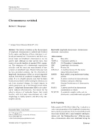 Chromomeres Revisited