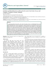 Isolation and Identification of Edwardsiella Tarda from Lake Zeway and Langano, Southern Oromia, Ethiopia