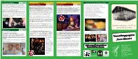 Programm-John-Januar2016