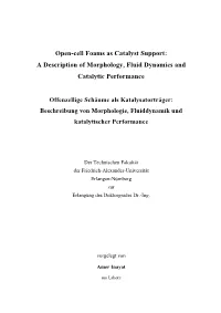 Dissertation Amer Inayat Final