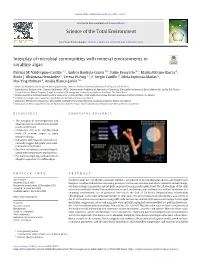Interplay of Microbial Communities with Mineral Environments in Coralline Algae