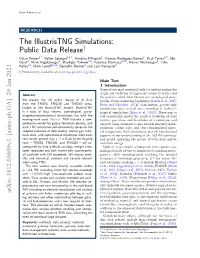 The Illustristng Simulations: Public Data Release