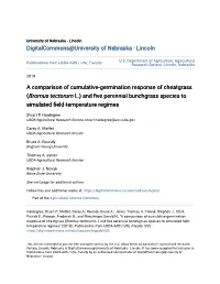 A Comparison of Cumulative-Germination Response of Cheatgrass (Bromus Tectorum L.) and Five Perennial Bunchgrass Species to Simulated Field-Temperature Regimes
