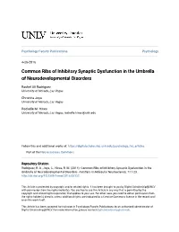 Common Ribs of Inhibitory Synaptic Dysfunction in the Umbrella of Neurodevelopmental Disorders