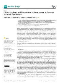 Chitin Synthesis and Degradation in Crustaceans: a Genomic View and Application