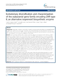 Evolutionary Diversification and Characterization of the Eubacterial