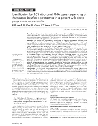 Identification by 16S Ribosomal RNA Gene Sequencing of Arcobacter