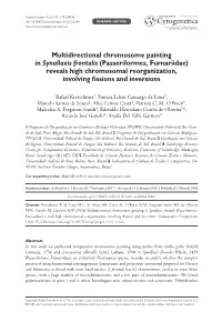 Multidirectional Chromosome Painting in Synallaxis Frontalis (Passeriformes, Furnariidae) Reveals High Chromosomal Reorganization, Involving Fissions and Inversions