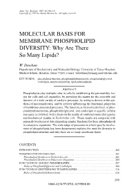 Why Are There So Many Lipids?