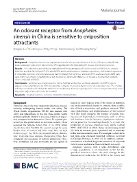 An Odorant Receptor from Anopheles Sinensis in China Is Sensitive To