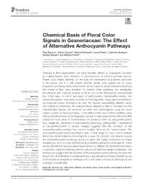 Chemical Basis of Floral Color Signals in Gesneriaceae: the Effect of Alternative Anthocyanin Pathways