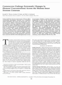 Corneocytes Undergo Systematic Changes in Element Concentrations Across the Human Inner Stratum Corneum
