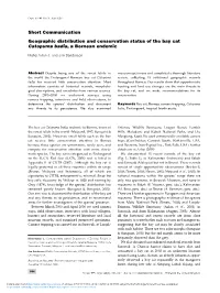 Geographic Distribution and Conservation Status of the Bay Cat Catopuma Badia, a Bornean Endemic