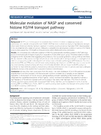 Molecular Evolution of NASP and Conserved Histone H3/H4 Transport Pathway Syed Nabeel-Shah1, Kanwal Ashraf2, Ronald E Pearlman2 and Jeffrey Fillingham1*