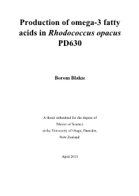 Production of Omega-3 Fatty Acids in Rhodococcus Opacus PD630