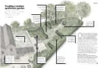 Creating a Modern Apothecary Garden