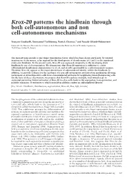 Krox-20 Patterns the Hindbrain Through Both Cell-Autonomous and Non Cell-Autonomous Mechanisms