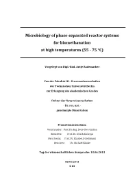Microbiology of Phase-Separated Reactor Systems For