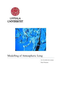 Modelling of Atmospheric Icing