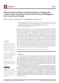 Natural Selection Plays an Important Role in Shaping the Codon Usage of Structural Genes of the Viruses Belonging to the Coronaviridae Family