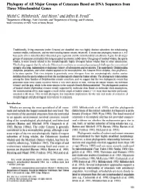 Phylogeny of All Major Groups of Cetaceans Based on DNA Sequences from Three Mitochondrial Genes