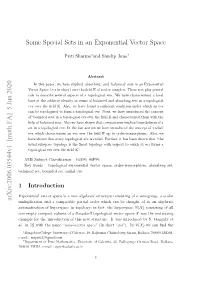 Some Special Sets in an Exponential Vector Space