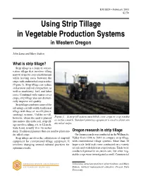 Using Strip Tillage in Vegetable Production Systems in Western Oregon