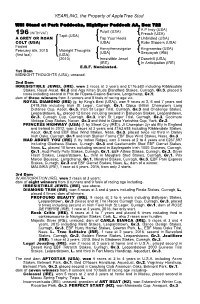 YEARLING, the Property of Appletree Stud