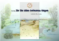 Decoding the Tha Uthen Cretaceous Enigma