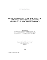 Monitoring and Mathematical Modeling of in Vitro Human Megakaryocyte Expansion and Maturation Dynamics