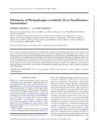 Phylogeny of Thripophagini Ovenbirds (Aves: Synallaxinae: Furnariidae)