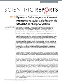 Pyruvate Dehydrogenase Kinase 4 Promotes Vascular Calcification Via