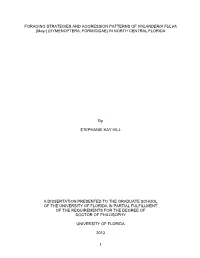 University of Florida Thesis Or Dissertation Formatting