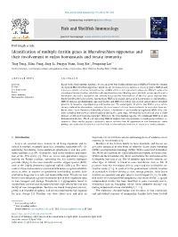 Identification of Multiple Ferritin Genes in Macrobrachium Nipponense And