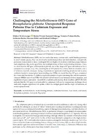 Challenging the Metallothionein (MT) Gene of Biomphalaria Glabrata: Unexpected Response Patterns Due to Cadmium Exposure and Temperature Stress