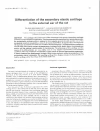 Differentiation of the Secondary Elastic Cartilage in the External Ear of the Rat