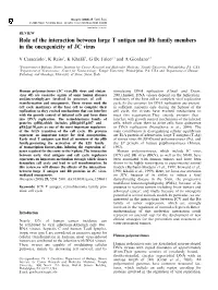 Role of the Interaction Between Large T Antigen and Rb Family Members in the Oncogenicity of JC Virus