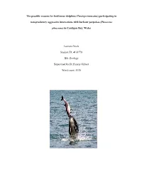 The Possible Reasons for Bottlenose Dolphins (Tursiops Truncatus) Participating In