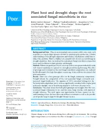 Plant Host and Drought Shape the Root Associated Fungal Microbiota in Rice