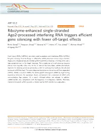 Ribozyme-Enhanced Single-Stranded Ago2-Processed Interfering RNA Triggers Efﬁcient Gene Silencing with Fewer Off-Target Effects