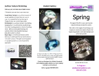 Spring Filings of Silver on a Silver Base Plate