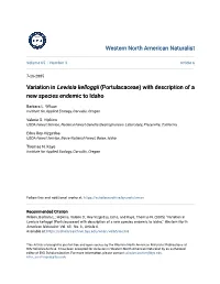 Variation in Lewisia Kelloggii (Portulacaceae) with Description of a New Species Endemic to Idaho