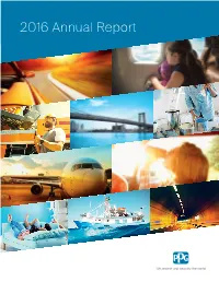 2016-Ppg-Annual-Report.Pdf