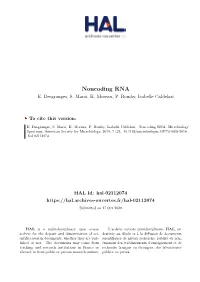 Noncoding RNA E