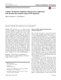 S-Phase Checkpoint Regulations That Preserve Replication and Chromosome Integrity Upon Dntp Depletion