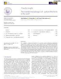 The Endodermal Passage Cell – Just Another Brick in the Wall?