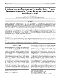 A Unique Immunofluorescence Protocol to Detect Protein Expression in Vascular Tissues: Tacking a Long Standing Pathological Hitch
